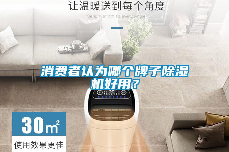 消費者認為哪個牌子除濕機好用？