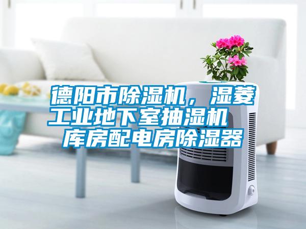 德陽市除濕機，濕菱工業地下室抽濕機  庫房配電房除濕器