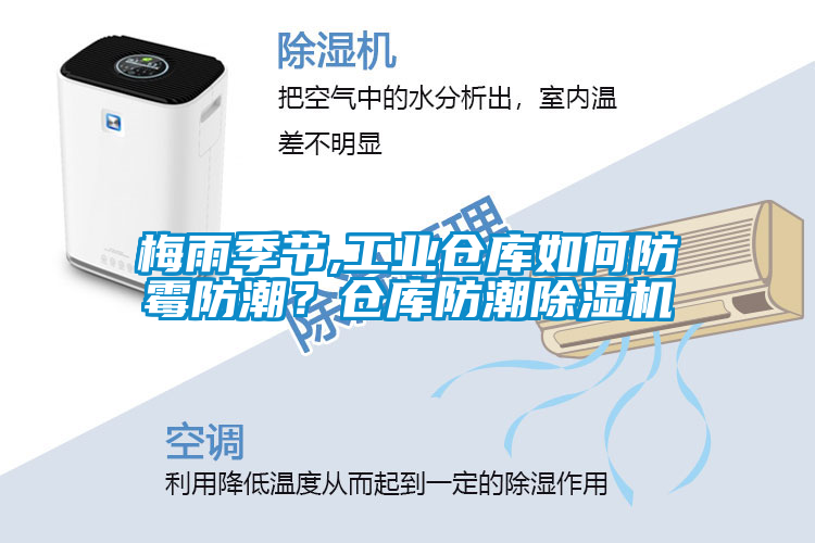 梅雨季節,工業倉庫如何防霉防潮？倉庫防潮除濕機