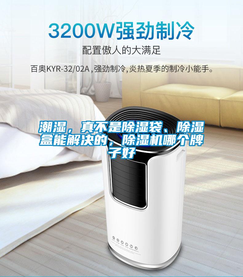 潮濕，真不是除濕袋、除濕盒能解決的，除濕機哪個牌子好