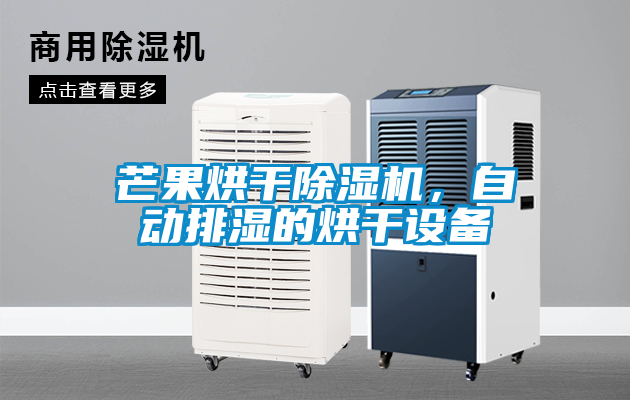 芒果烘干除濕機，自動排濕的烘干設備