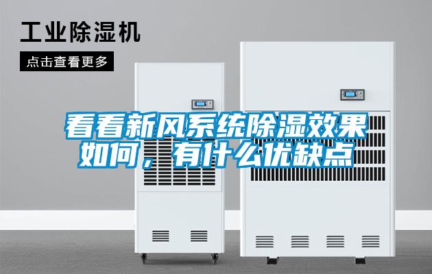 看看新風系統除濕效果如何，有什么優缺點
