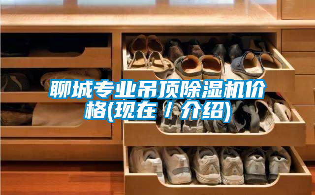 聊城專業吊頂除濕機價格(現在／介紹)
