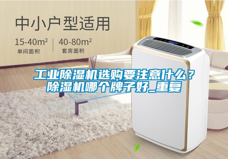 工業除濕機選購要注意什么？除濕機哪個牌子好_重復