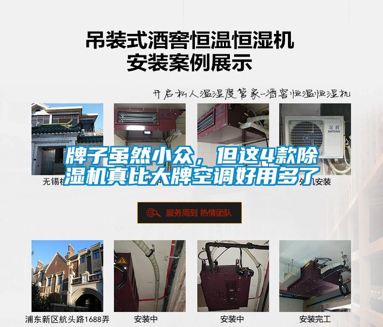 牌子雖然小眾，但這4款除濕機真比大牌空調好用多了