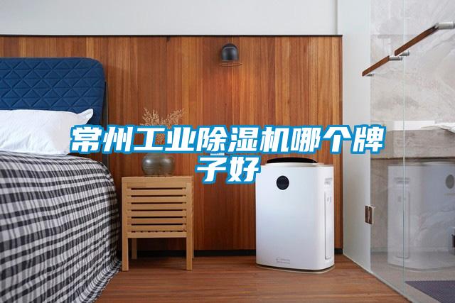 常州工業除濕機哪個牌子好