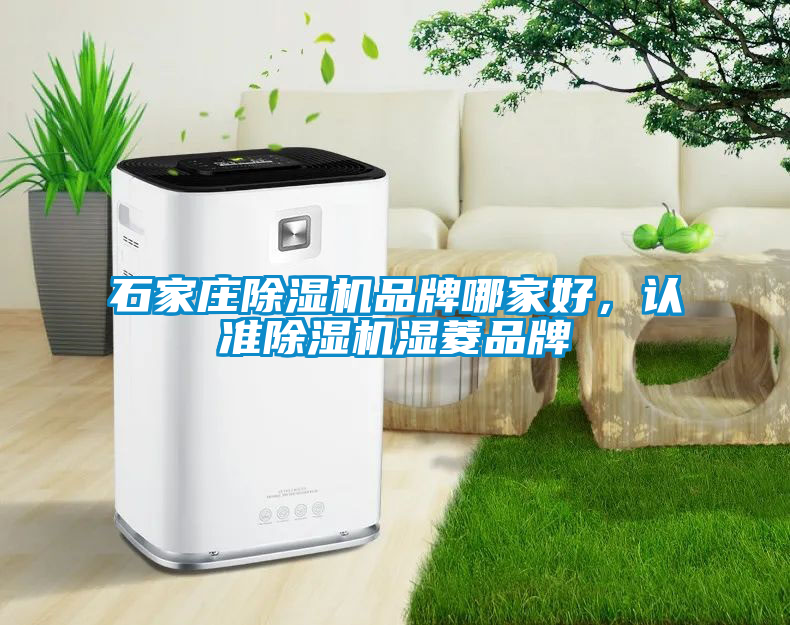石家莊除濕機品牌哪家好，認準除濕機濕菱品牌