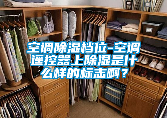 空調除濕檔位-空調遙控器上除濕是什么樣的標志??？