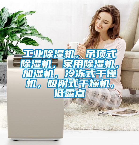 工業除濕機，吊頂式除濕機，家用除濕機，加濕機，冷凍式干燥機，吸附式干燥機，低露點