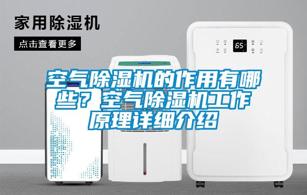 空氣除濕機的作用有哪些？空氣除濕機工作原理詳細介紹