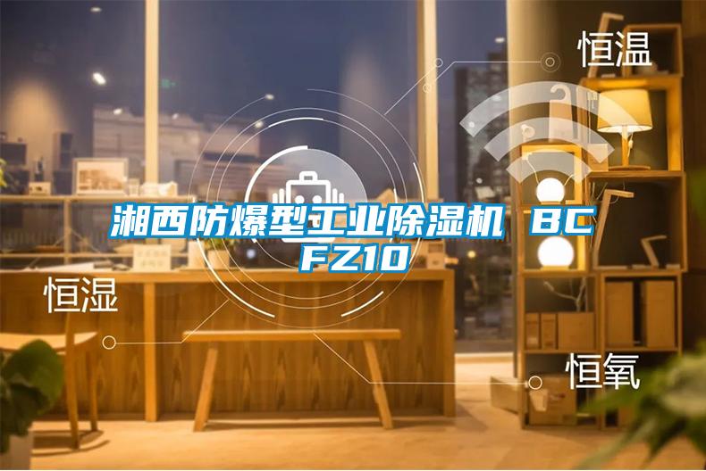湘西防爆型工業除濕機 BCFZ10
