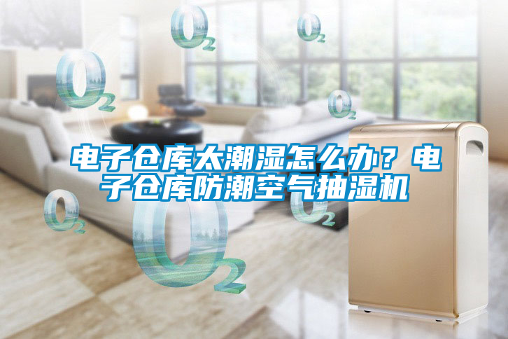 電子倉庫太潮濕怎么辦？電子倉庫防潮空氣抽濕機