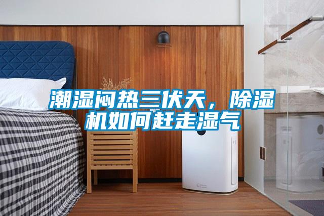 潮濕悶熱三伏天，除濕機如何趕走濕氣
