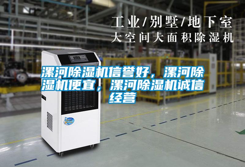 漯河除濕機信譽好，漯河除濕機便宜，漯河除濕機誠信經營