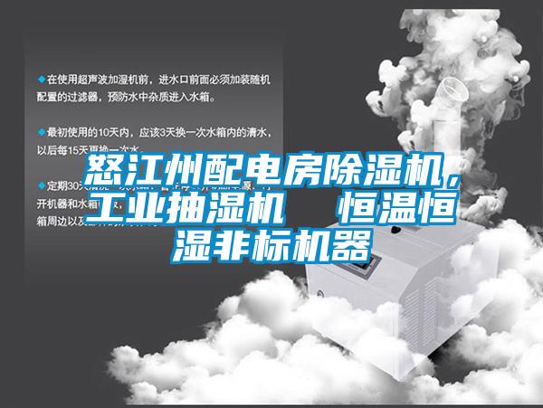 怒江州配電房除濕機，工業抽濕機  恒溫恒濕非標機器