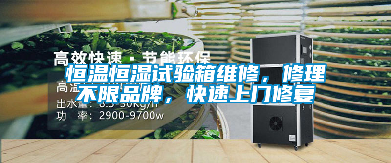 恒溫恒濕試驗箱維修，修理不限品牌，快速上門修復