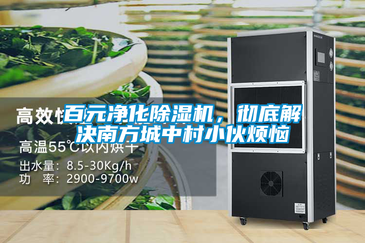 百元凈化除濕機，徹底解決南方城中村小伙煩惱