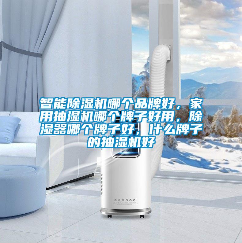 智能除濕機哪個品牌好，家用抽濕機哪個牌子好用，除濕器哪個牌子好，什么牌子的抽濕機好