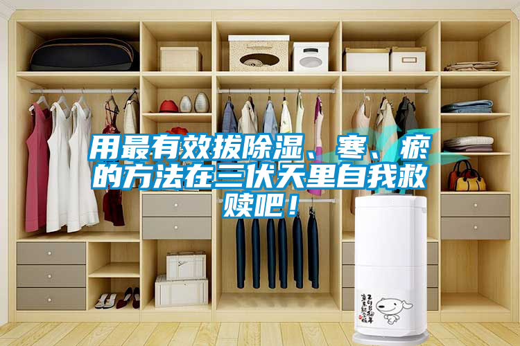 用最有效拔除濕、寒、瘀的方法在三伏天里自我救贖吧！