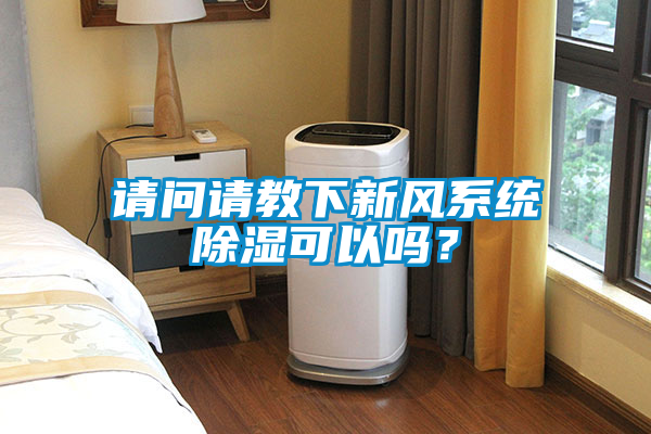 請問請教下新風系統除濕可以嗎？