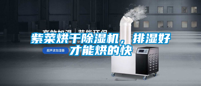 紫菜烘干除濕機，排濕好才能烘的快