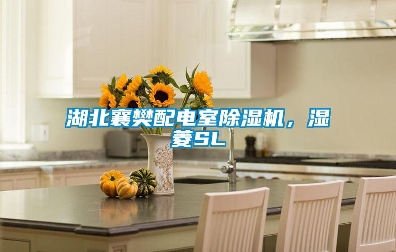 湖北襄樊配電室除濕機，濕菱SL