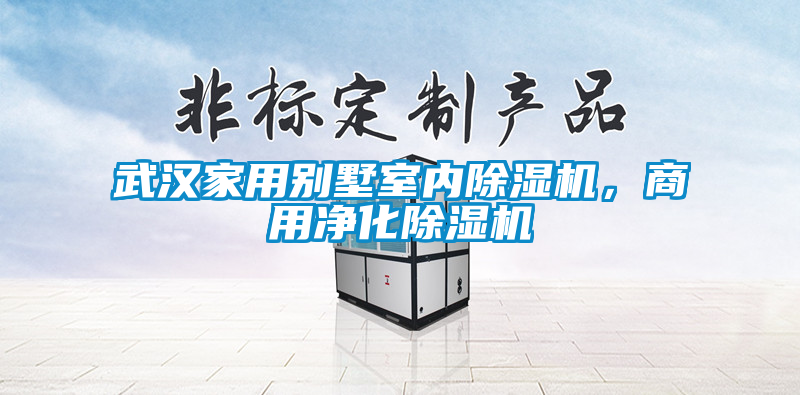 武漢家用別墅室內除濕機，商用凈化除濕機