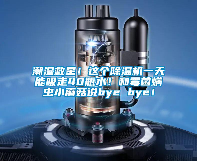 潮濕救星！這個除濕機一天能吸走40瓶水！和霉菌螨蟲小蘑菇說bye bye！