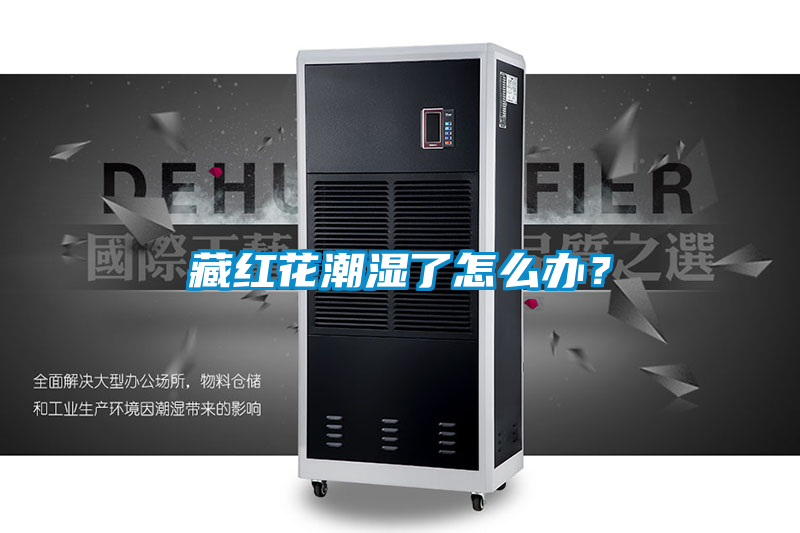 藏紅花潮濕了怎么辦？