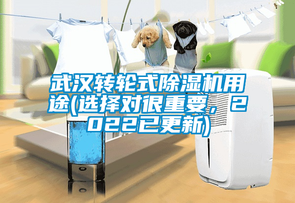 武漢轉輪式除濕機用途(選擇對很重要，2022已更新)