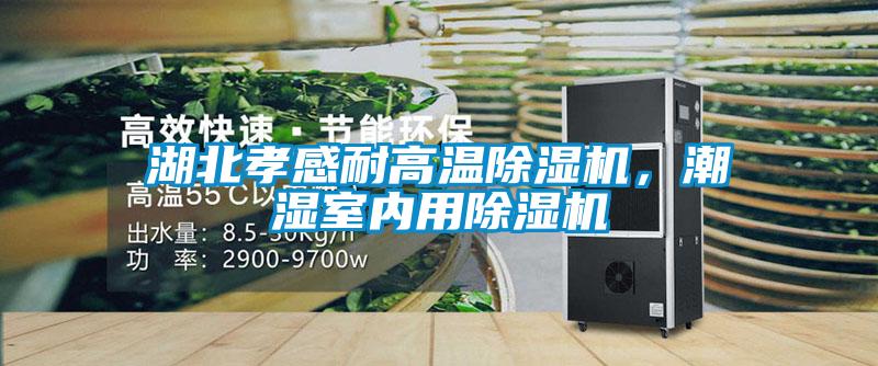 湖北孝感耐高溫除濕機，潮濕室內用除濕機