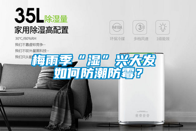 梅雨季“濕”興大發 如何防潮防霉？