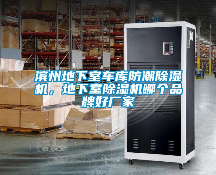 濱州地下室車庫防潮除濕機，地下室除濕機哪個品牌好廠家