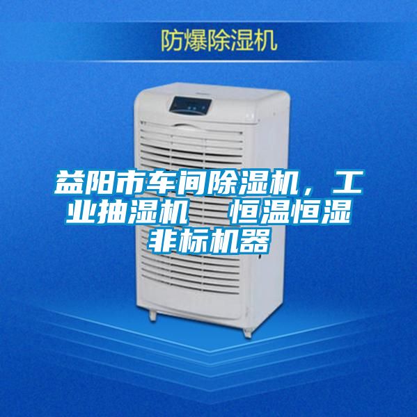 益陽市車間除濕機，工業抽濕機  恒溫恒濕非標機器