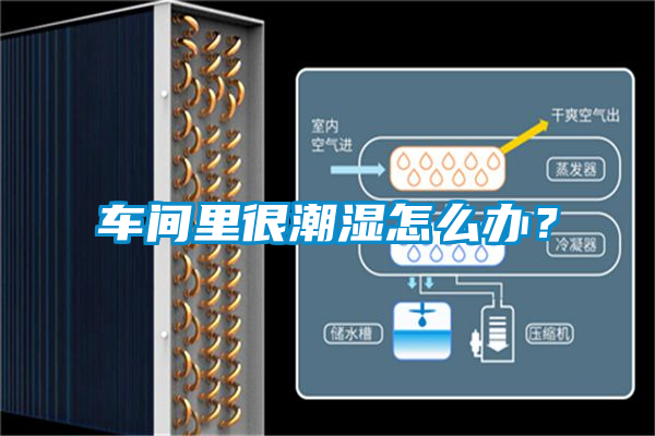 車間里很潮濕怎么辦？
