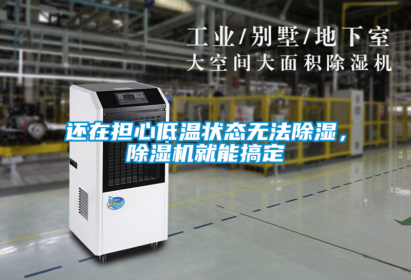 還在擔心低溫狀態無法除濕，除濕機就能搞定