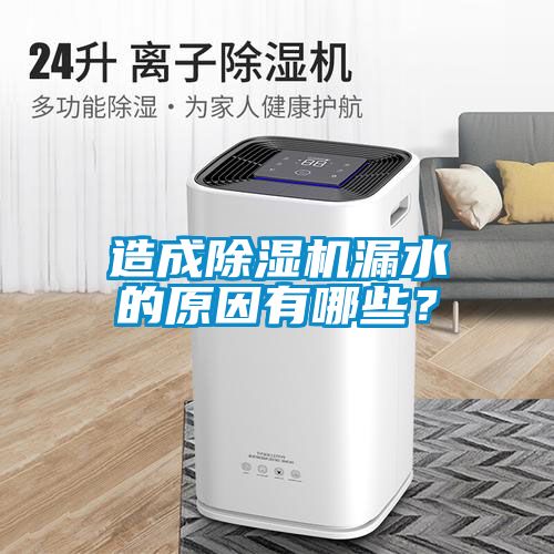 造成除濕機漏水的原因有哪些？