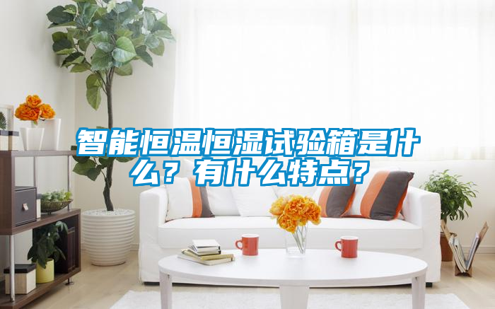 智能恒溫恒濕試驗箱是什么？有什么特點？