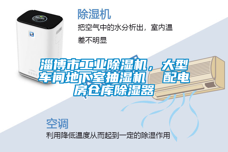 淄博市工業除濕機，大型車間地下室抽濕機  配電房倉庫除濕器