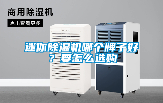 迷你除濕機哪個牌子好？要怎么選購