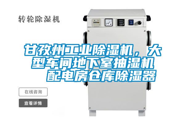 甘孜州工業除濕機，大型車間地下室抽濕機  配電房倉庫除濕器