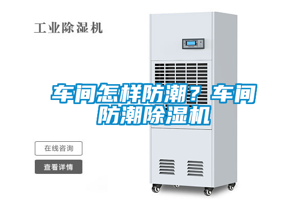 車間怎樣防潮？車間防潮除濕機