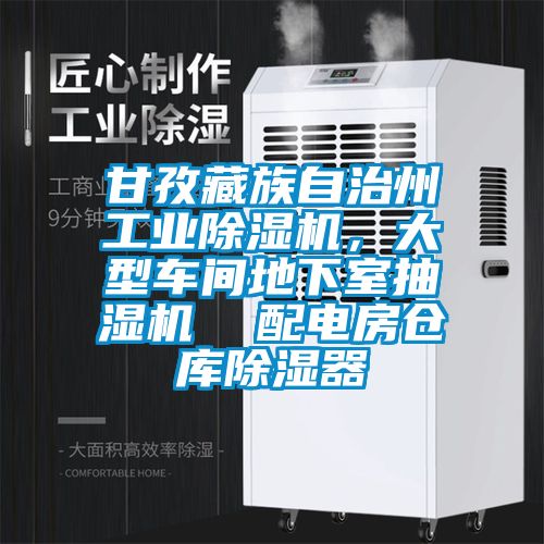 甘孜藏族自治州工業除濕機，大型車間地下室抽濕機  配電房倉庫除濕器