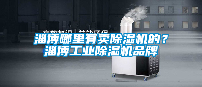 淄博哪里有賣除濕機的？淄博工業除濕機品牌