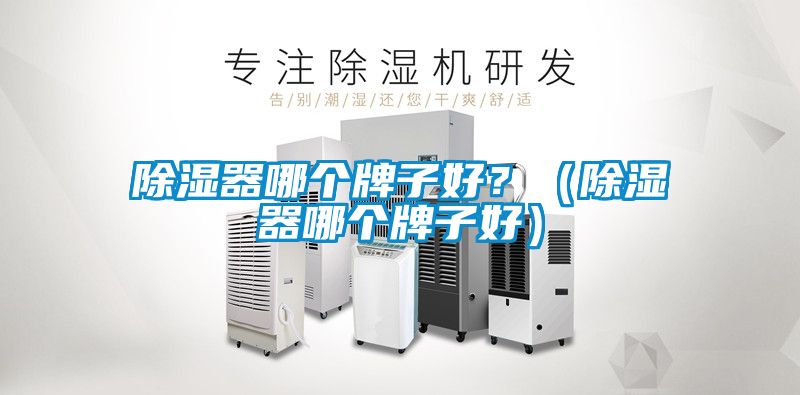 除濕器哪個牌子好？（除濕器哪個牌子好）