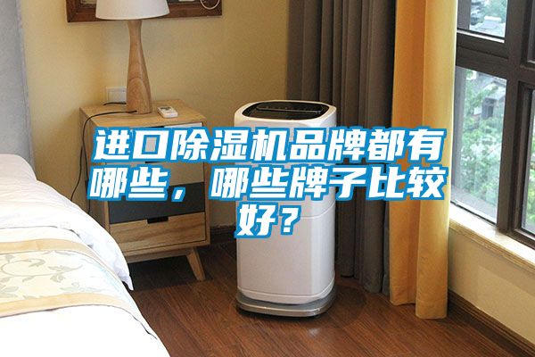 進口除濕機品牌都有哪些，哪些牌子比較好？