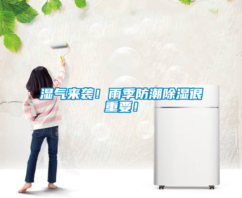 濕氣來襲！雨季防潮除濕很重要！