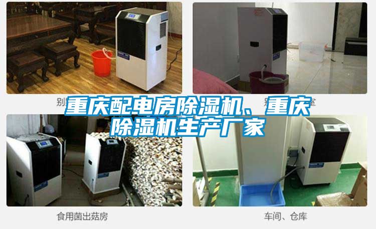 重慶配電房除濕機、重慶除濕機生產廠家