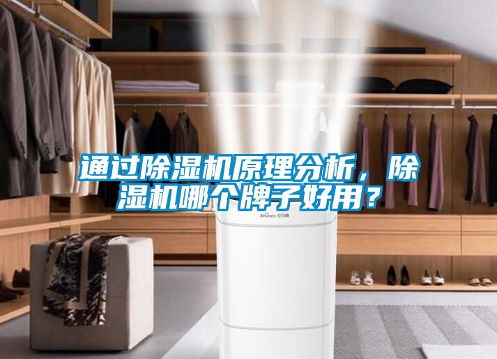 通過除濕機原理分析，除濕機哪個牌子好用？