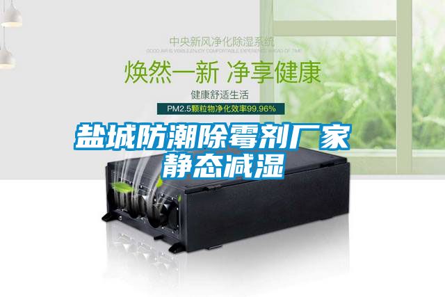 鹽城防潮除霉劑廠家 靜態減濕